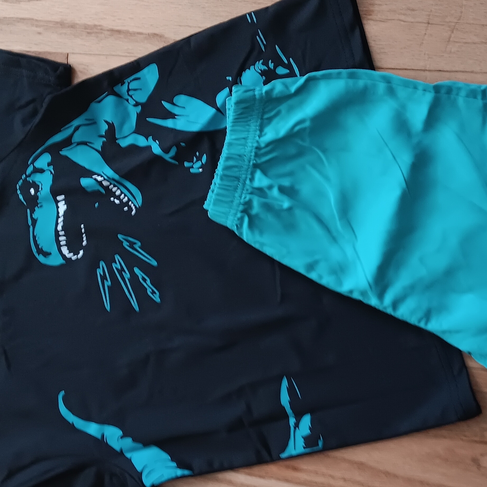 Dinosaur Graphic Tee and Shorts Set - Black and Teal 6-6x